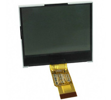 Ataata COG-248160-02