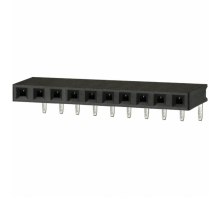 Ataata PPTC101LGBN