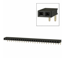 Ataata PPPC251LGBN