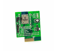 Ataata RN-4020-PICTAIL