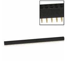 Ataata PPPN222AFCN