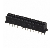Ataata DF3-14S-2DSA(55)