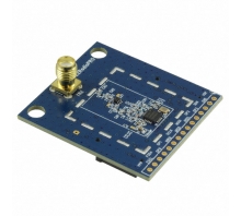 Ataata 4463CPCE20C460