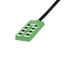 Ataata 1695896