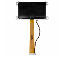 Ataata F-51852GNFQJ-LW-AMN