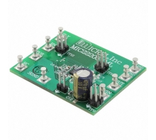 Ataata MIC22205YML-EV