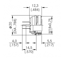 Ataata C091 61G006 120 2