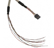 Ataata AMT203303-10CS036