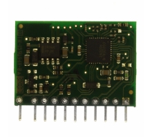 Ataata ZY2110G