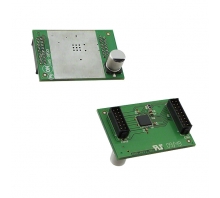 Ataata AM305421R1DBGEVB