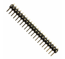 Ataata PRPN212MAMS