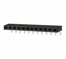 Ataata PPTC121LGBN-RC