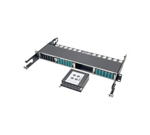 Ataata N484-2M24-6M12