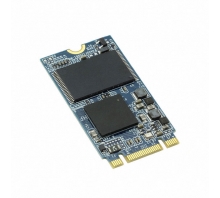 Ataata APM2T42P100032GAN-2TM