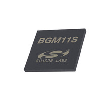 Ataata BGM11S12F256GA-V2R