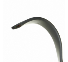 Ataata GLF-120-810-000