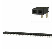 Ataata PPPC291LGBN