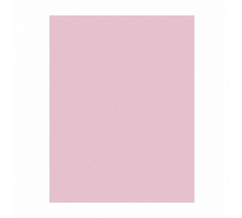 Ataata 3MIC 3M668X PSA SHEET 3X8