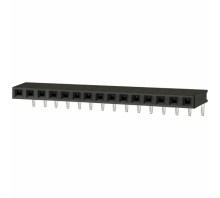 Ataata PPTC151LGBN
