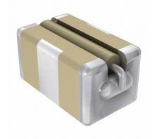 Ataata SBSGP5000222MXT