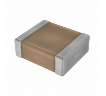 Ataata C2824H223JDGACT050
