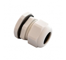 Ataata IPG-22221-G
