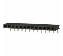 Ataata PPPC131LGBN